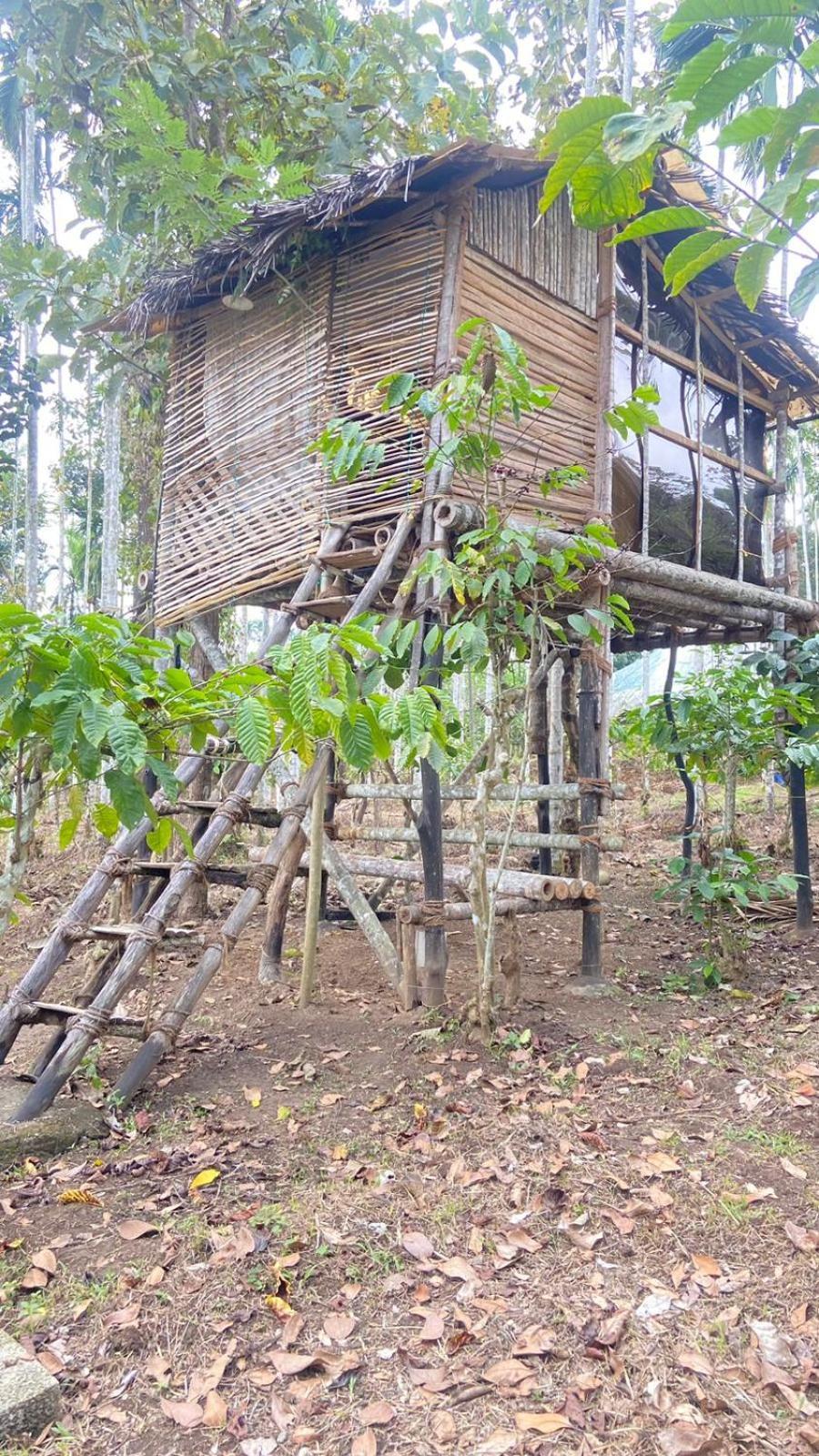 Lotus Jewel Forest Camping Салтэн-Батери Экстерьер фото